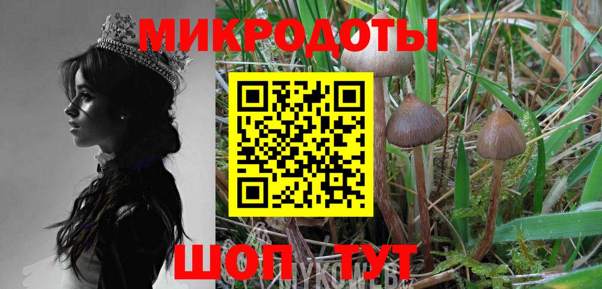 Псилоцибиновые грибы прущие грибы  Вход с VPN  где купить наркотик  Нефтекумск 